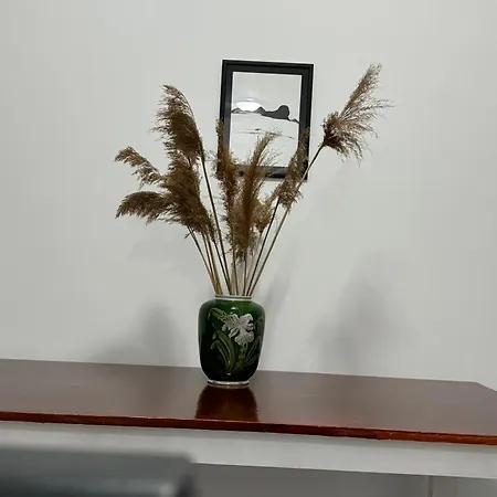 Ubytování v soukromí Deluxe Double Belgrade Airport Surčin